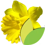 Bulbes à Fleurs icon