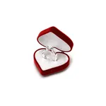 Digital Invitation icon