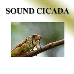 Cicada icon