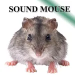 Rat mice icon