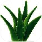 Health Benefits Of Aloe Vera icon