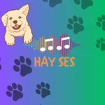 HaySes (Hayvan Çağır) icon