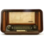 Radio Voice icon
