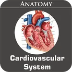 Cardiovascular System icon