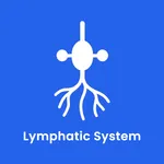 Lymphatic System icon