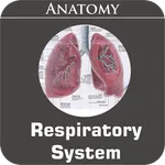 Respiratory System icon