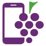 AppVid icon