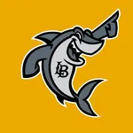 BeachGO icon