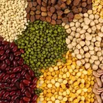 Agri World Mumbai icon