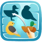 Shadow Matching Puzzles icon