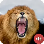 Lion Sounds icon