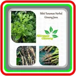 ginseng cultivation in pots icon