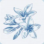 Kyklos icon
