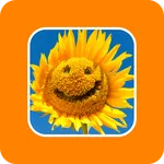 Позитив. Приколы icon