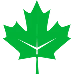 Kompyuter Algebrasi icon