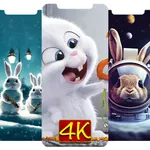 Cute Rabbit Wallpaper HD icon