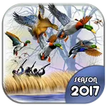 Duck Hunting 3D: Seasons 2017 icon