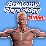 Learn Anatomy and Physiology icon