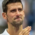 Novak Djokovic icon
