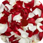 Rose petals Live Wallpaper icon