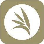 Conexão Eldorado icon