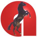 Kabardian Language icon