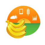 Amibanana icon