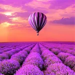 Purple Nature Wallpapers icon