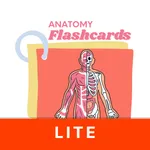 Anatomy Flashcards Lite icon
