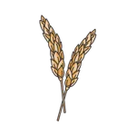 Ancient Promise International icon