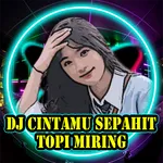DJ Sepahit Topi Miring Viral icon