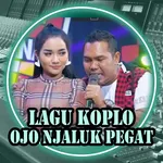 Lagu Koplo Ojo Njaluk Pegat icon