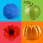 Learning Colors for Kids icon