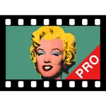 Videocam illusion Pro icon