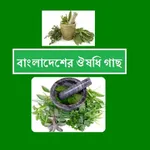 Bangladeshi Herbal Treatment icon