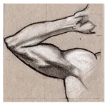 Arms Exercises icon