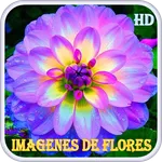 Imágenes de Flores icon