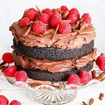 Vegan cakes recipes icon