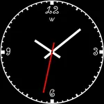 Wayne 102 Watch Face icon