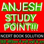 Anjesh Study Point icon