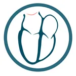 Echocardiography icon