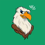 CoinFeedback.io icon