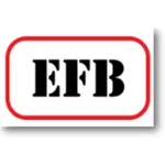 Electronic Formula Book (EFB) icon