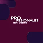 Profesionales del Cobre icon