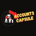 Accounts Capsule icon