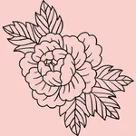 Aesthetic Wallpapers icon