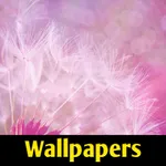 Wallpapers App icon