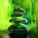 Green Zen Live Wallpaper icon