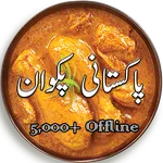 Pakistani Food Recipes In Urdu icon