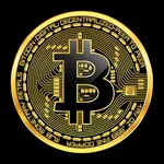 Cryptocurrency Price Tool icon